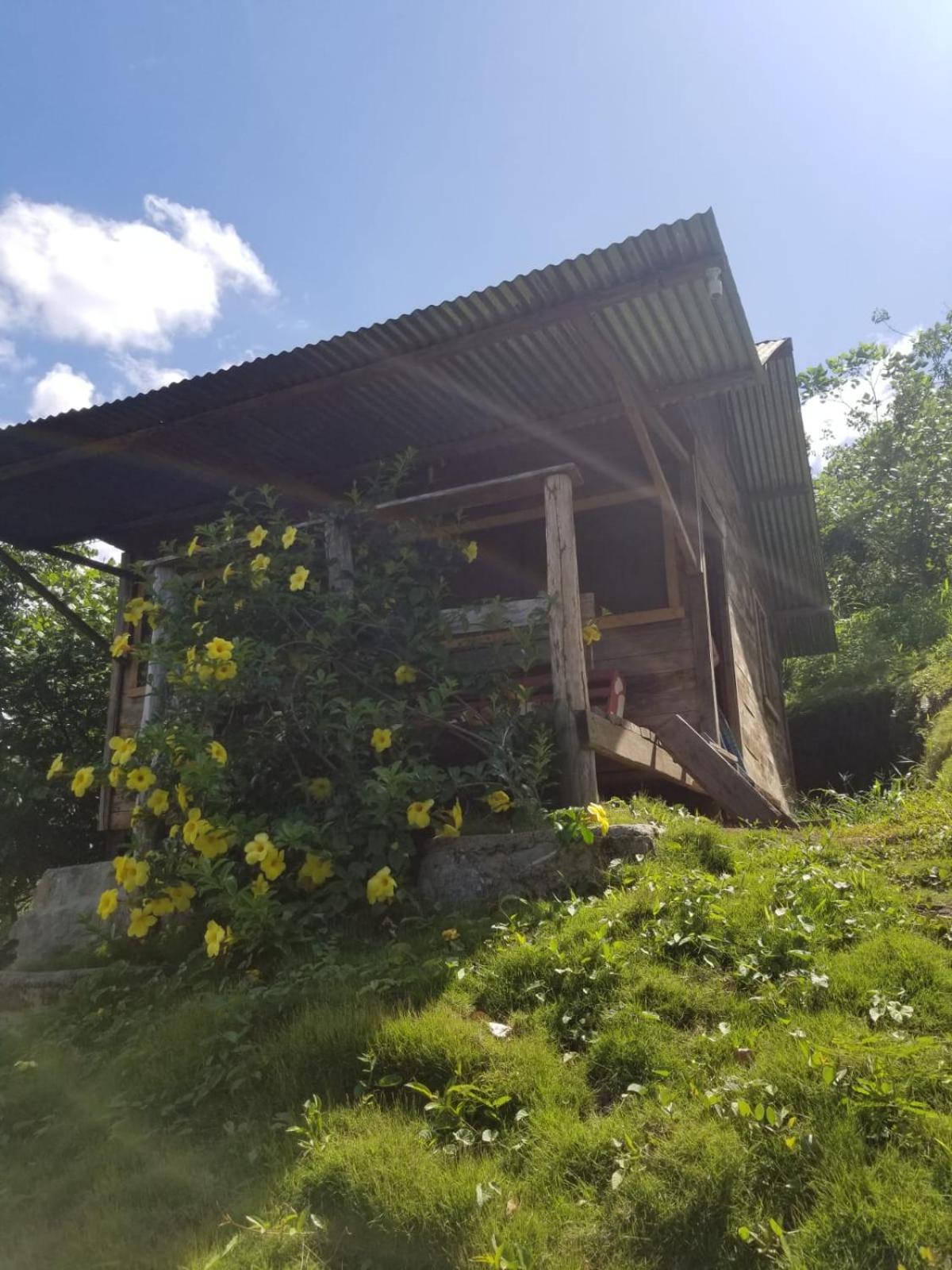 Ch'I Bocol Community Hostel Ланкін Екстер'єр фото